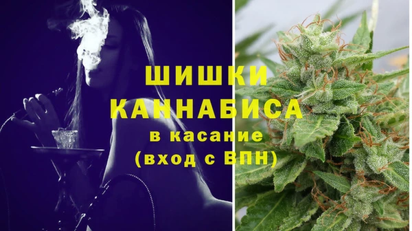 ECSTASY Бронницы
