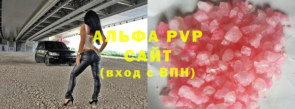прущие грибы Куйбышев
